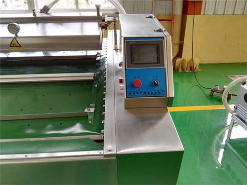 寧夏傳送帶式真空包裝機(jī)價(jià)格解析與技術(shù)咨詢指南——以諸城廣元機(jī)械為例